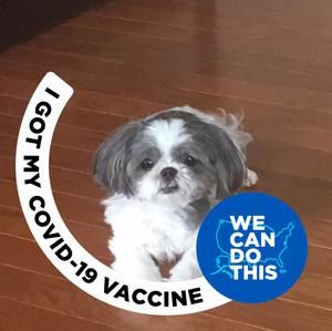 Meet your Posher, Eunjae